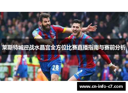 莱斯特城迎战水晶宫全方位比赛直播指南与赛前分析