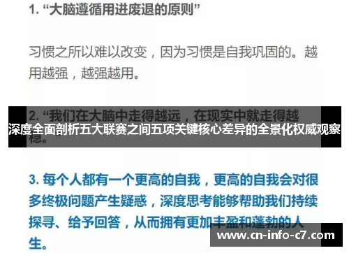 深度全面剖析五大联赛之间五项关键核心差异的全景化权威观察