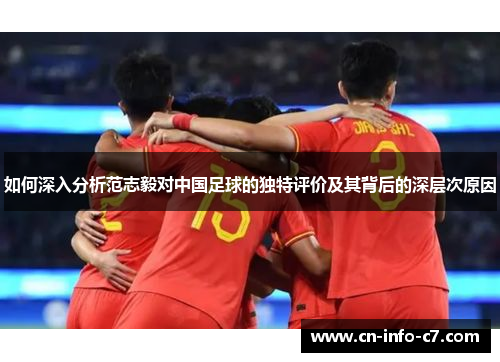 如何深入分析范志毅对中国足球的独特评价及其背后的深层次原因