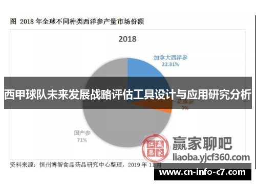 西甲球队未来发展战略评估工具设计与应用研究分析
